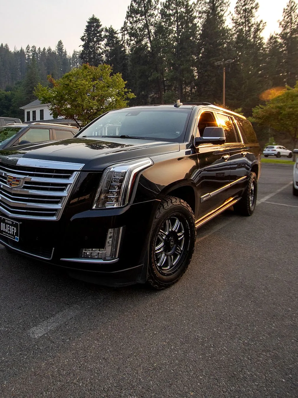 The RoadStars Cadillac Escalade ESV in evening light beneath North Idaho pines